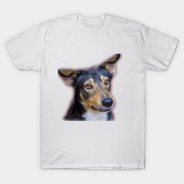 dog T-Shirt by rickylabellevie